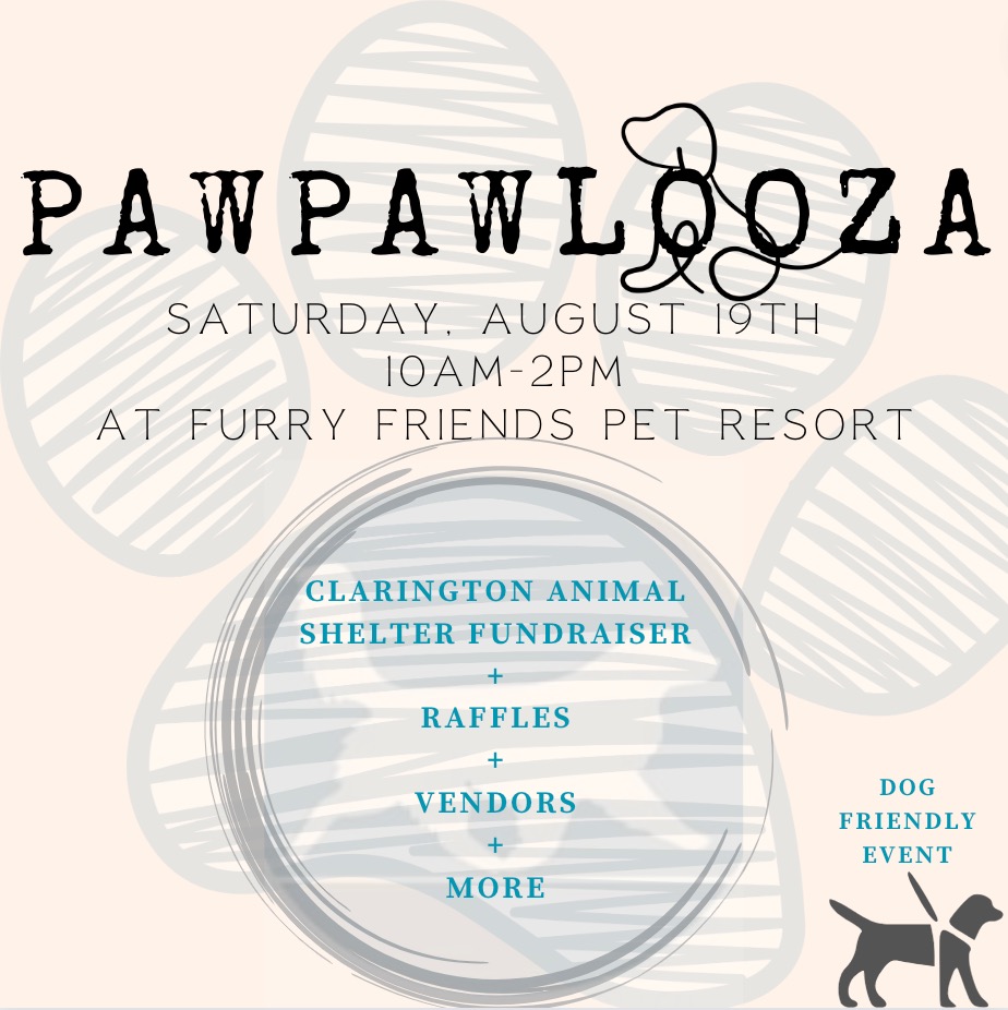 Events Furry Friends Pet Resort