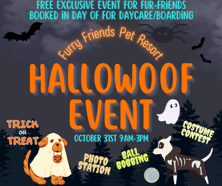 Events Furry Friends Pet Resort