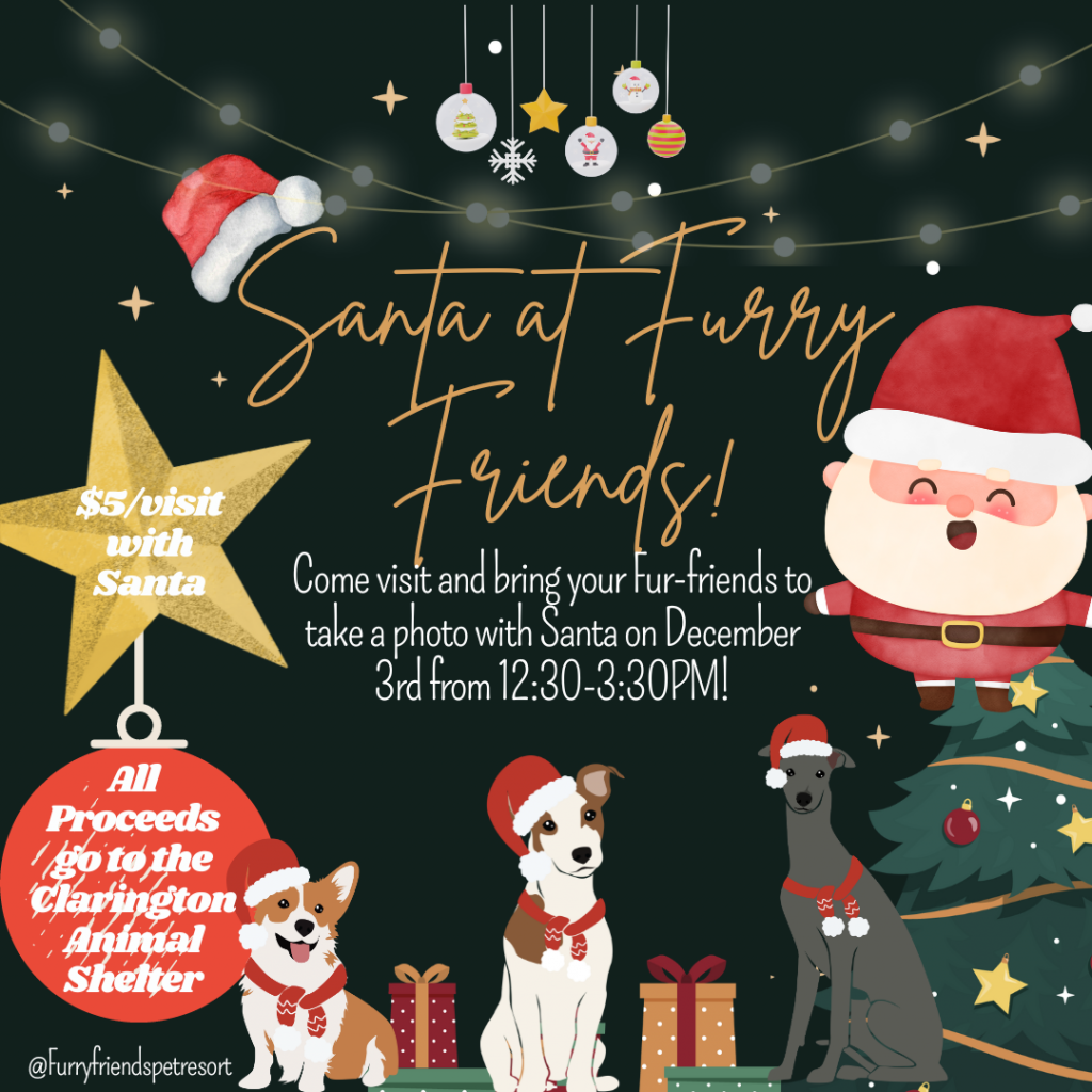 Events Furry Friends Pet Resort