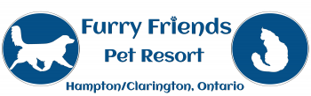 Furry Friends Pet Resort