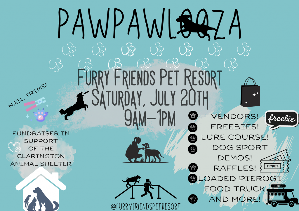 Events Furry Friends Pet Resort