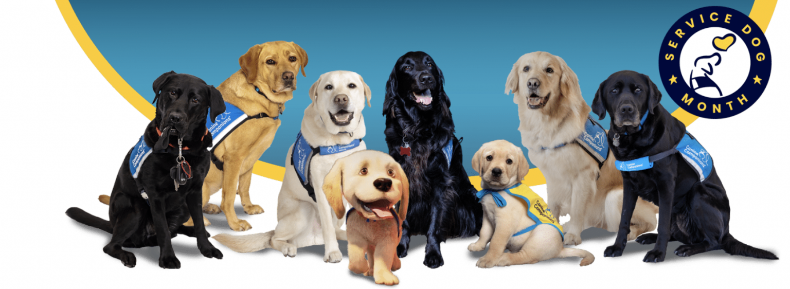 National Service Dog Awareness Month Furry Friends Pet Resort