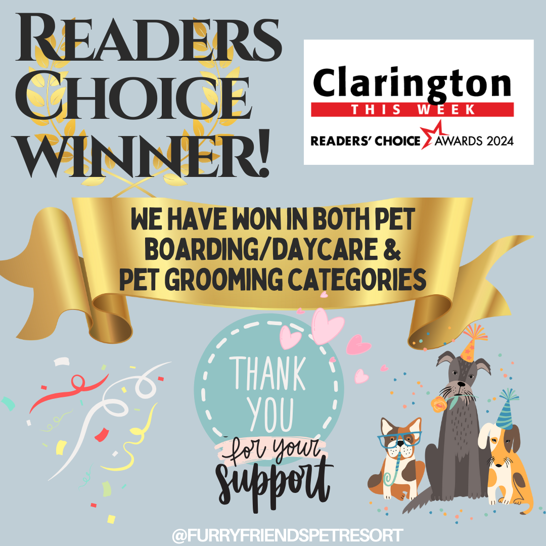 Diamond Readers Choice Winner Furry Friends Pet Resort